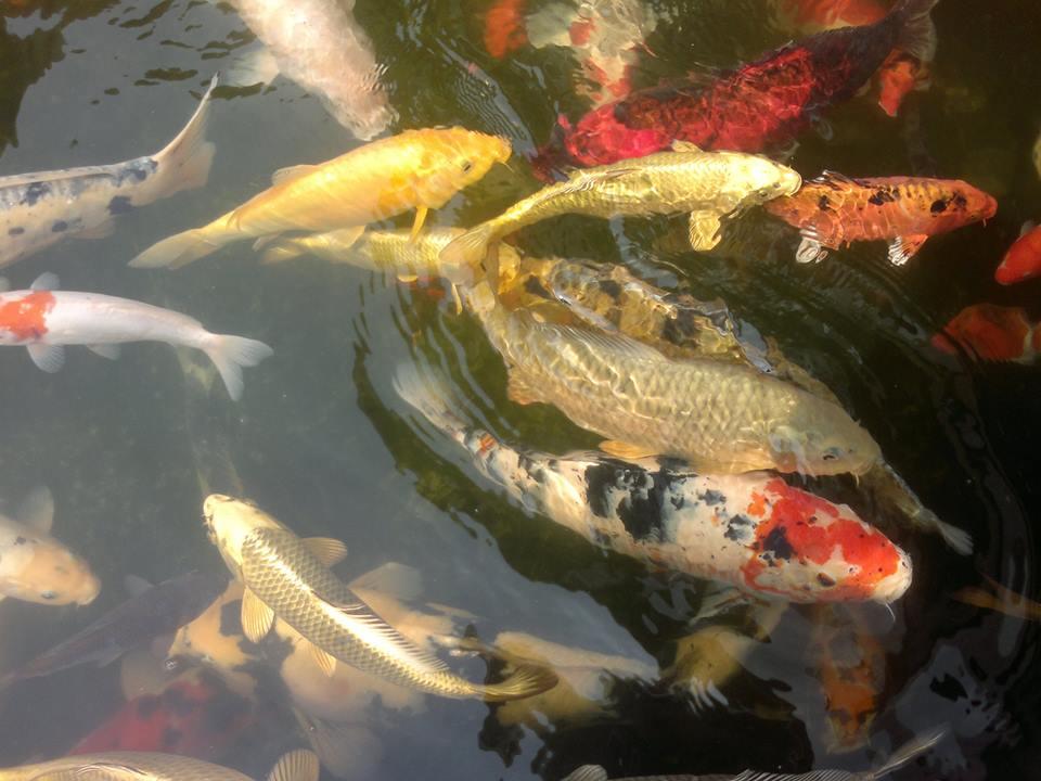 anul ce-a trecut... - 123480065731508427998699328825n.jpg